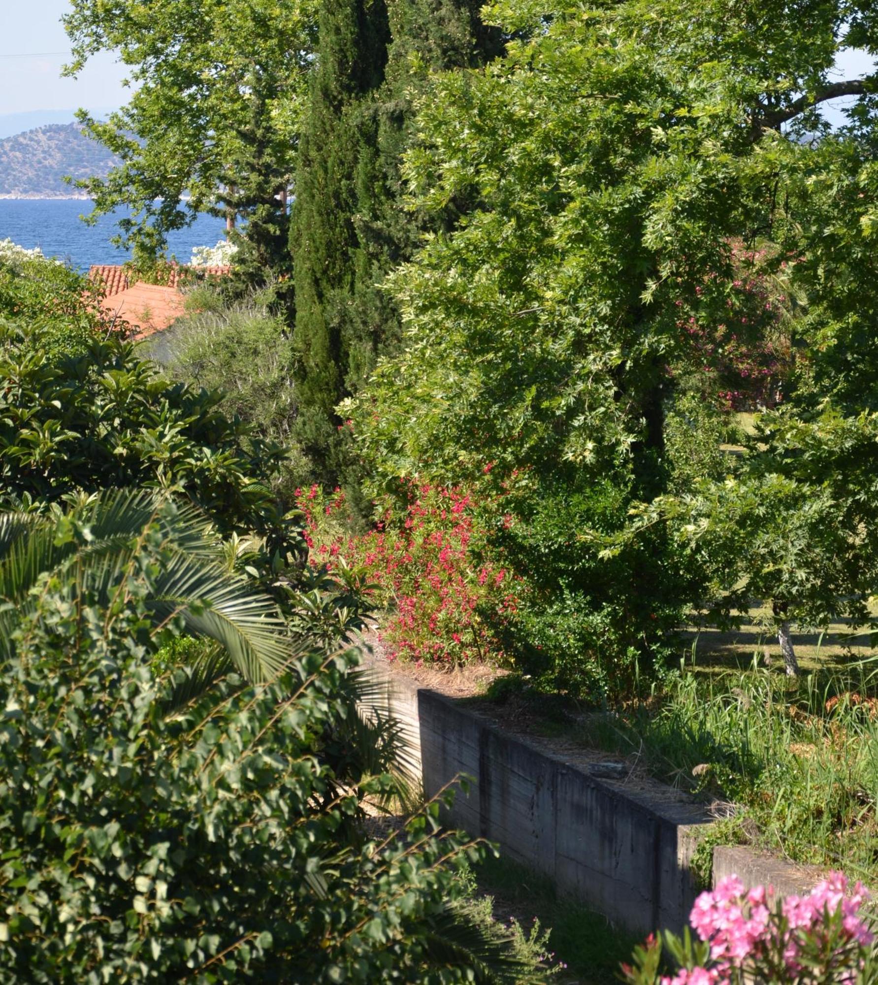 Egeo Limenas (Thasos) Exterior foto
